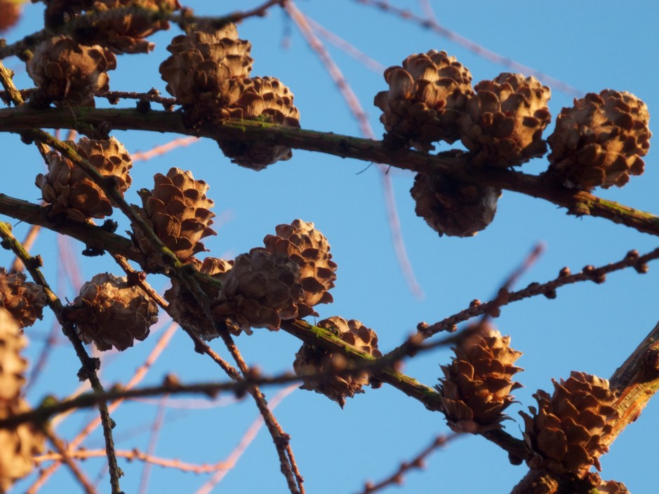 DSCN0466 - Version 2