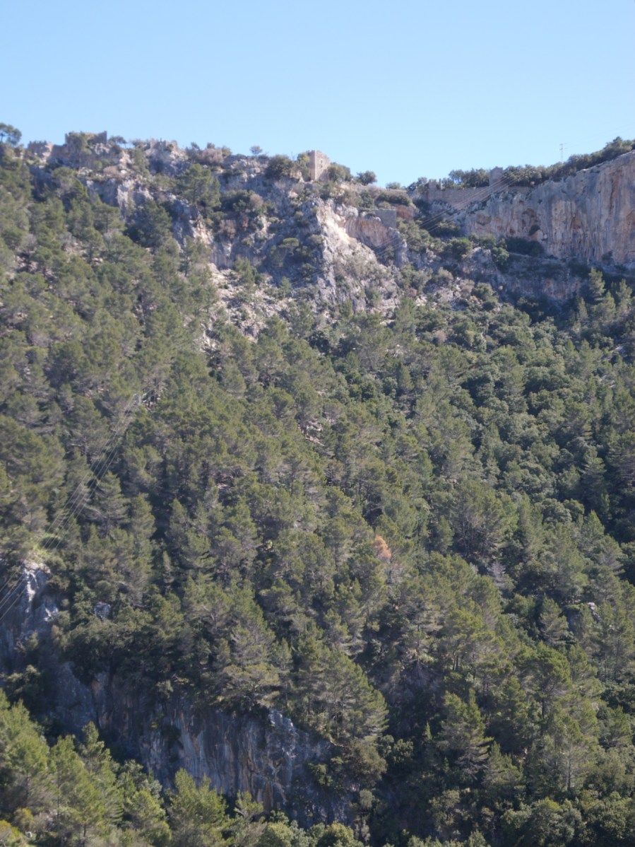 DSCN1280 - Version 2