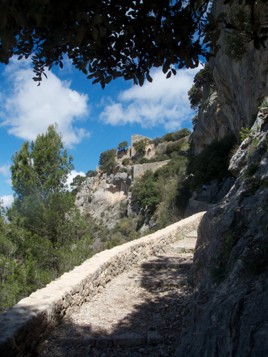 DSCN1290 - Version 2