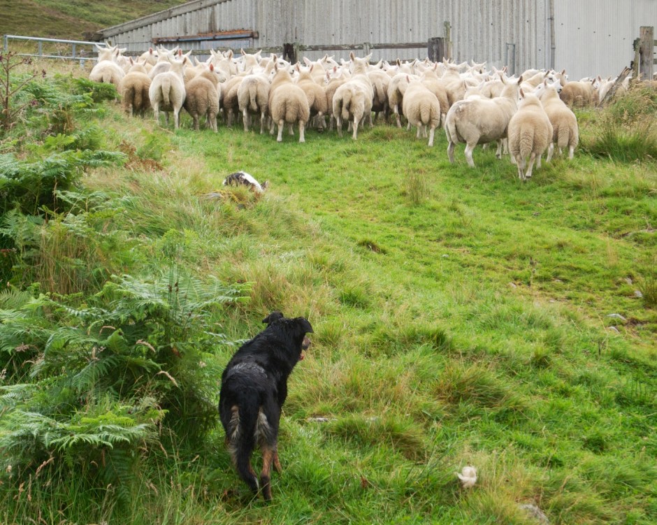 Hall 2012-08-22 10 - Version 2