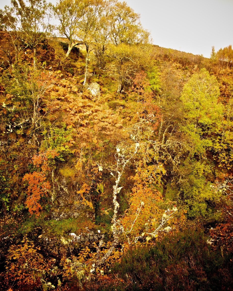 Hall 2012-10-17 1 - Version 2