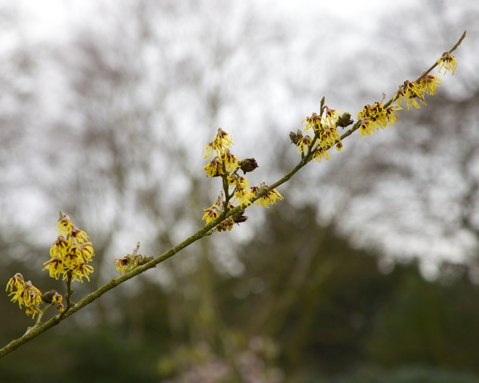 _MG_4753 - Version 2