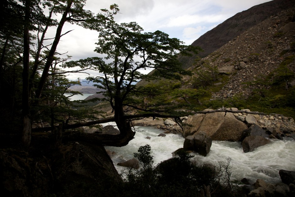 River cascading from the Glaciar del Frances