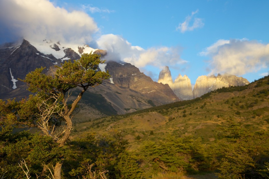 Early morning view from the Ecocamp