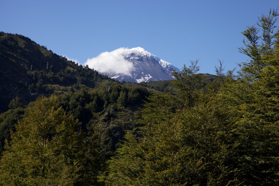 Lanin appearing above the trees
