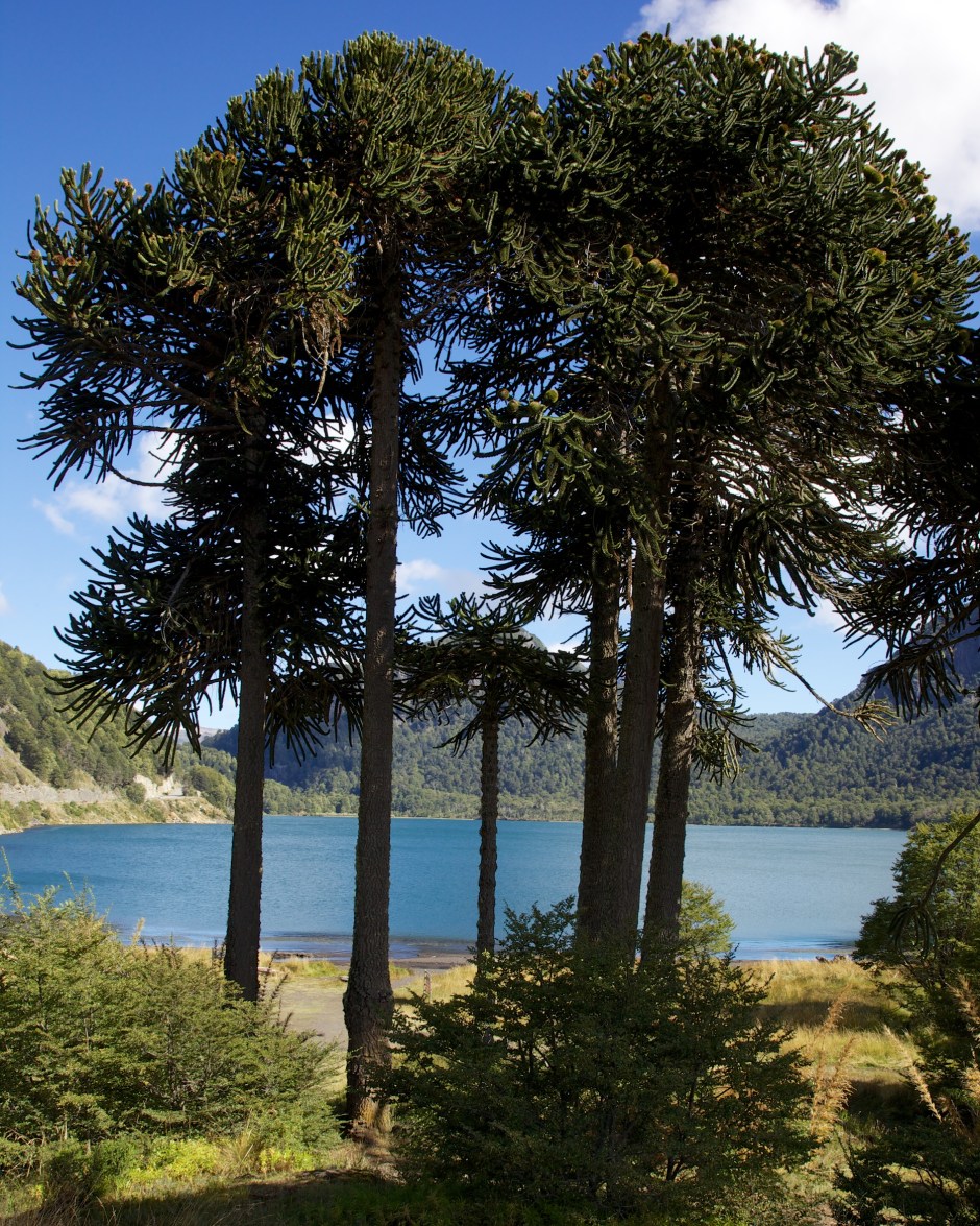 Hall 2013-03-13 6932 - Version 2