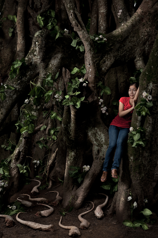 In the evening they return ©Jamie Maxtone-Graham