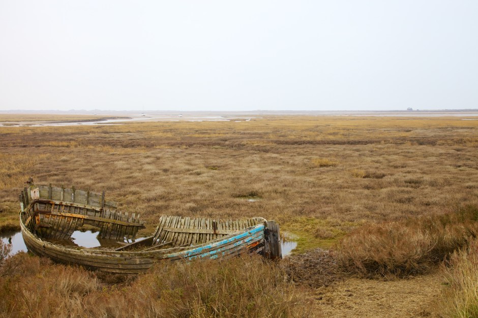 _MG_6146 - Version 2