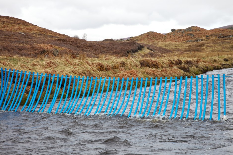 Hall   2013-05-03 3 - Version 2