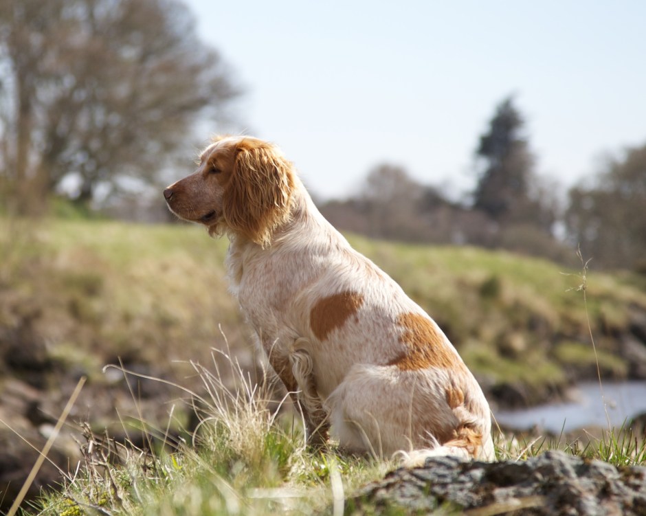 Hall   2013-05-10 34 - Version 2