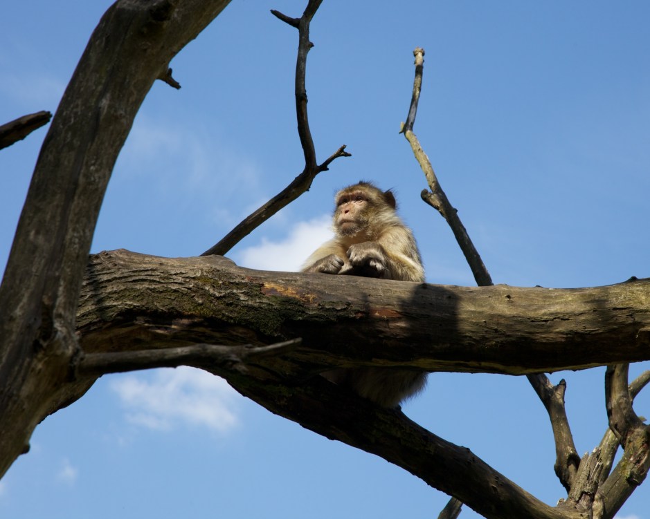 _MG_6635 - Version 2