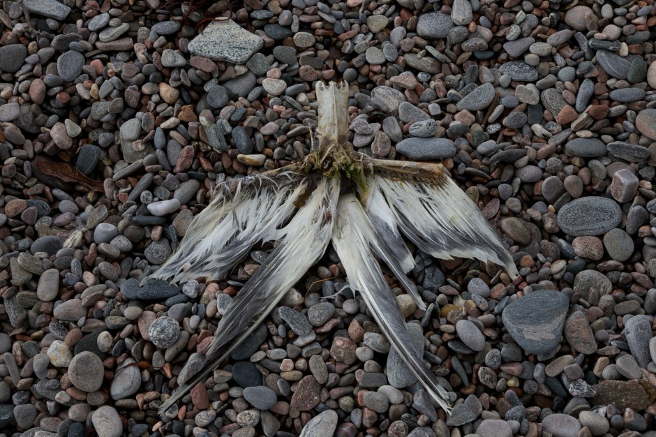 Hall   2013-07-01 42