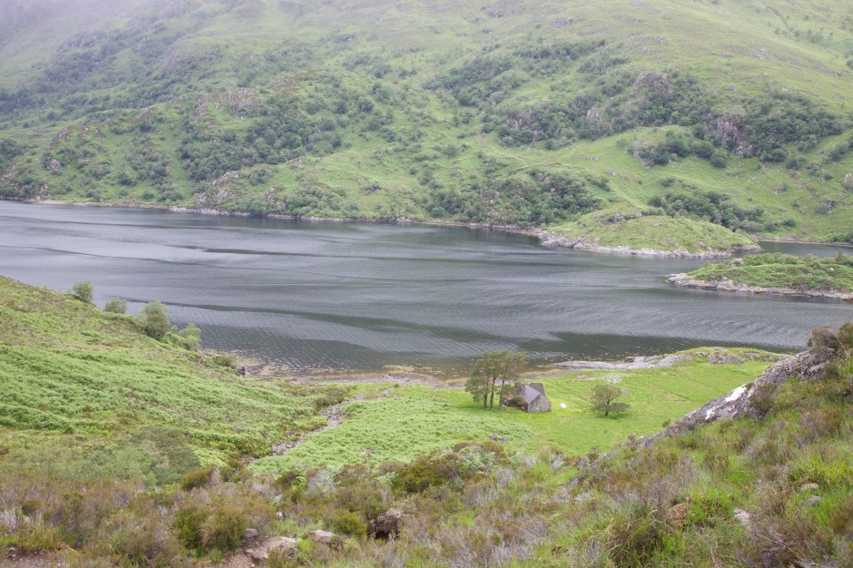 Hall   2013-07-02 100