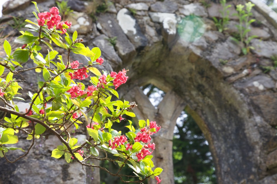 Hall   2013-07-04 196