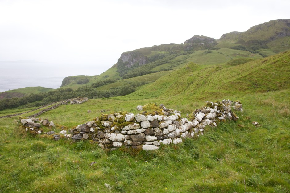 Hall   2013-07-04 212