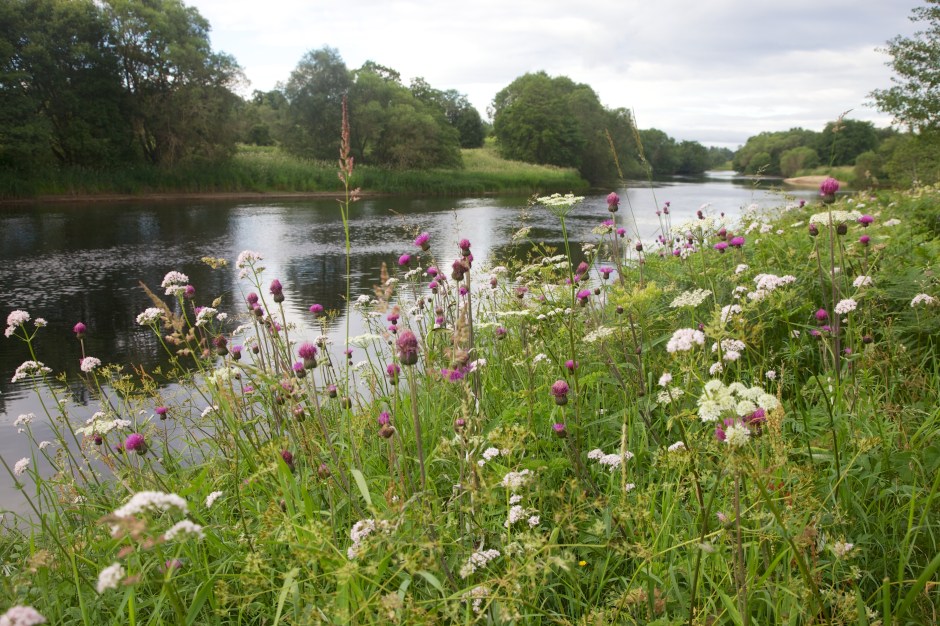 Hall   2013-07-18 34 - Version 2