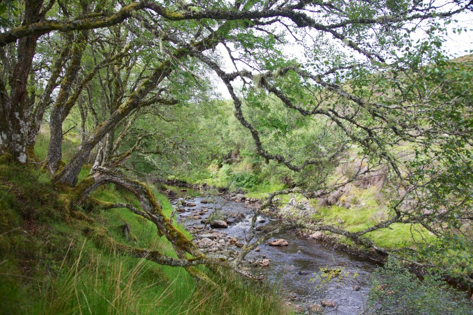 Hall   2013-08-08 16 - Version 2