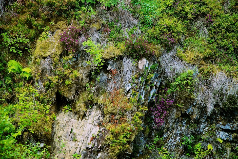 Hall   2013-08-08 25 - Version 2