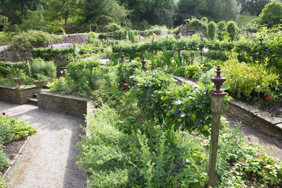 A corner of the kitchen garden