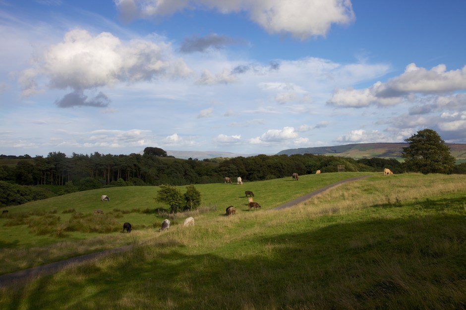 Hall 2013-08-12 69 - Version 2