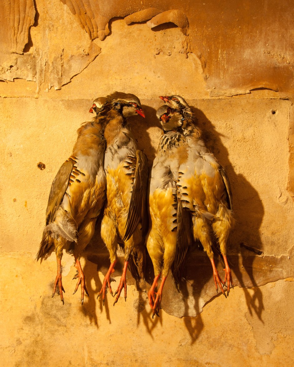 Still Life with Game-18