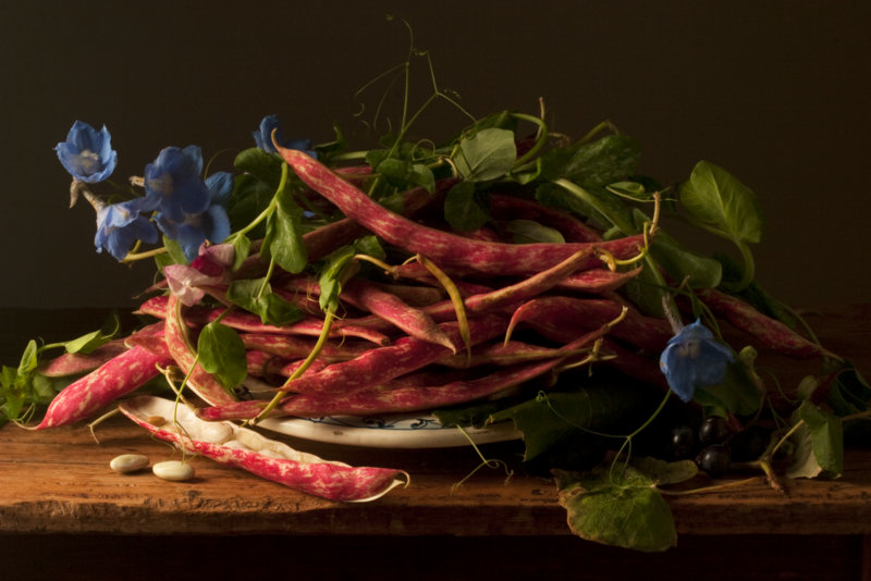 Cranberry Beans GG ©Paulette Tavormina