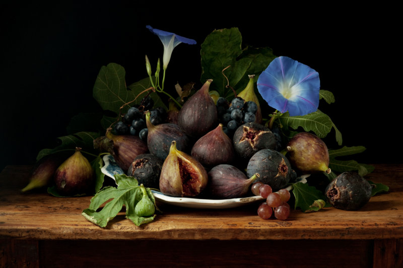 Figs and Morning Glories GG ©Paulette Tavormina