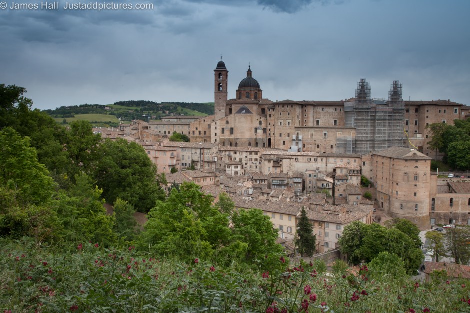 140516Urbino-050