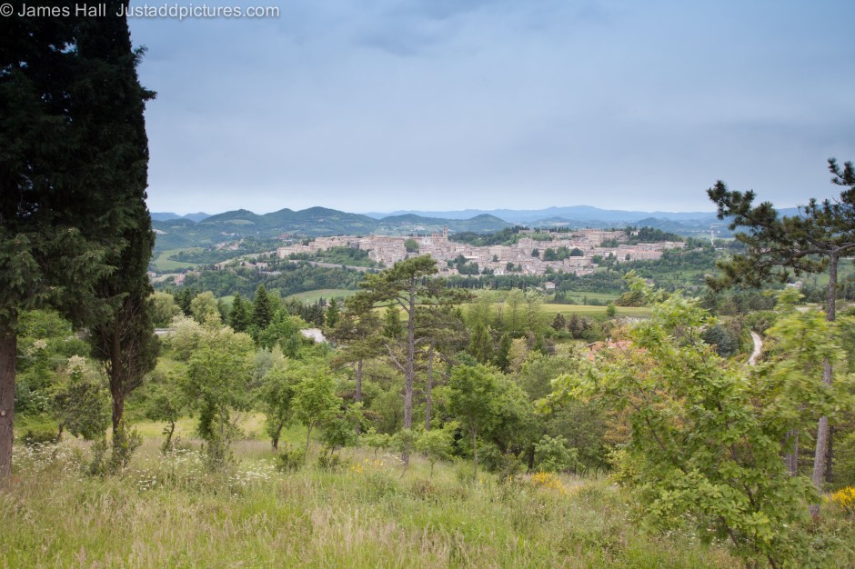 140516Urbino-057