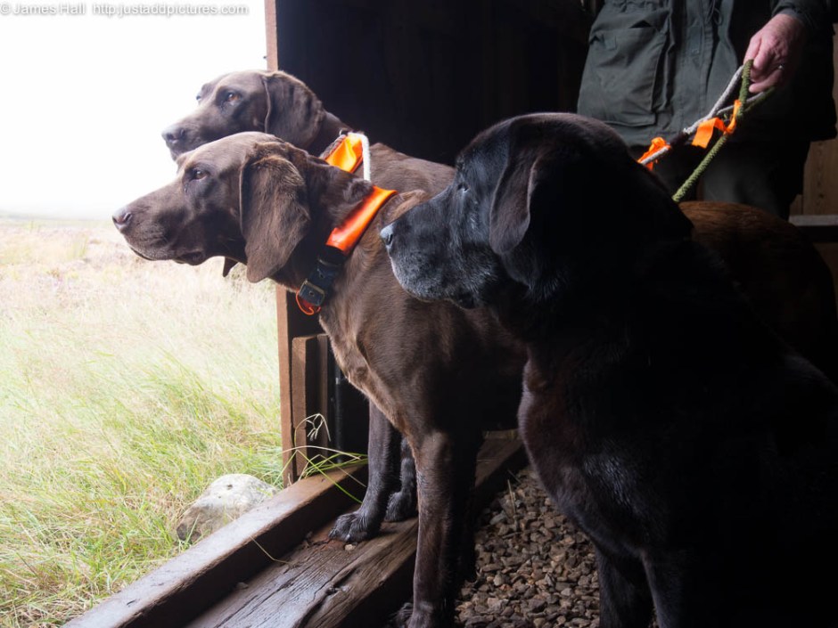 untitled shoot-140818- 13