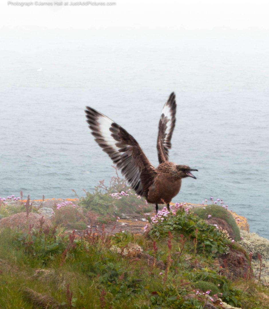 20150619-Various-101-Edit