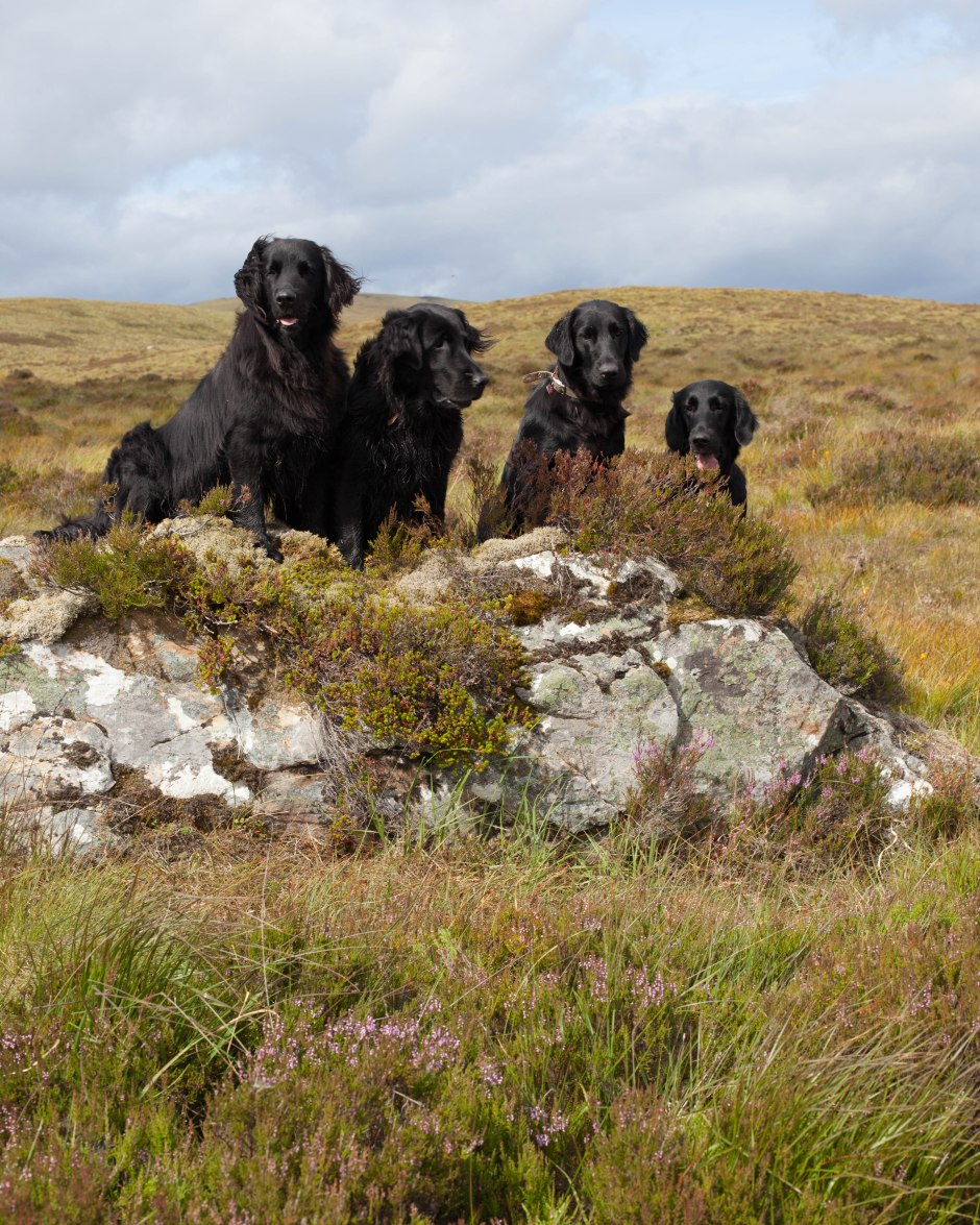 20150822-untitled shoot-94