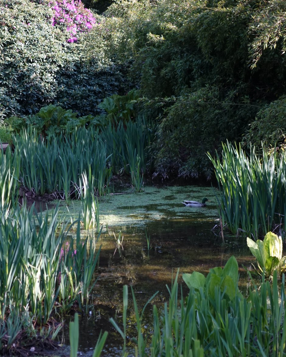 20160523-untitled shoot-9-2