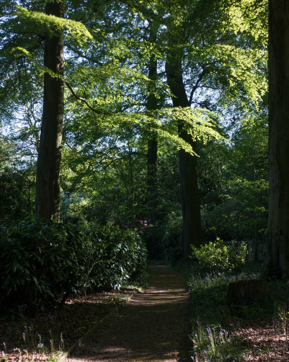 20160524-untitled shoot-32