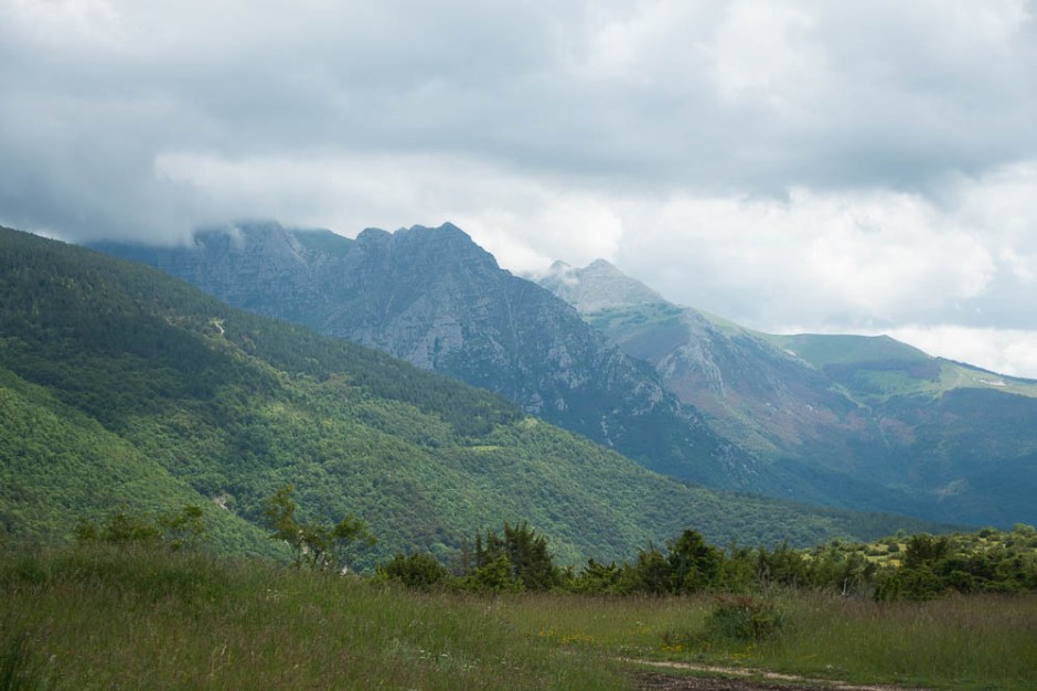 untitled shoot-160614- 40