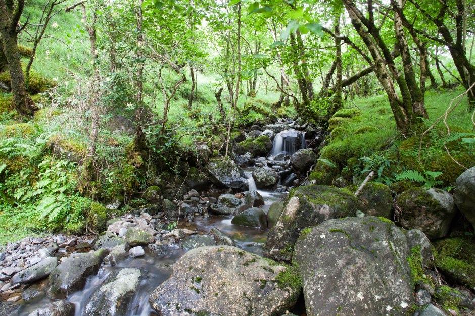 20160714-Arnisdale-160714- 69