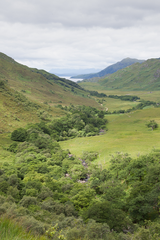 Arnisdale-160714- 81