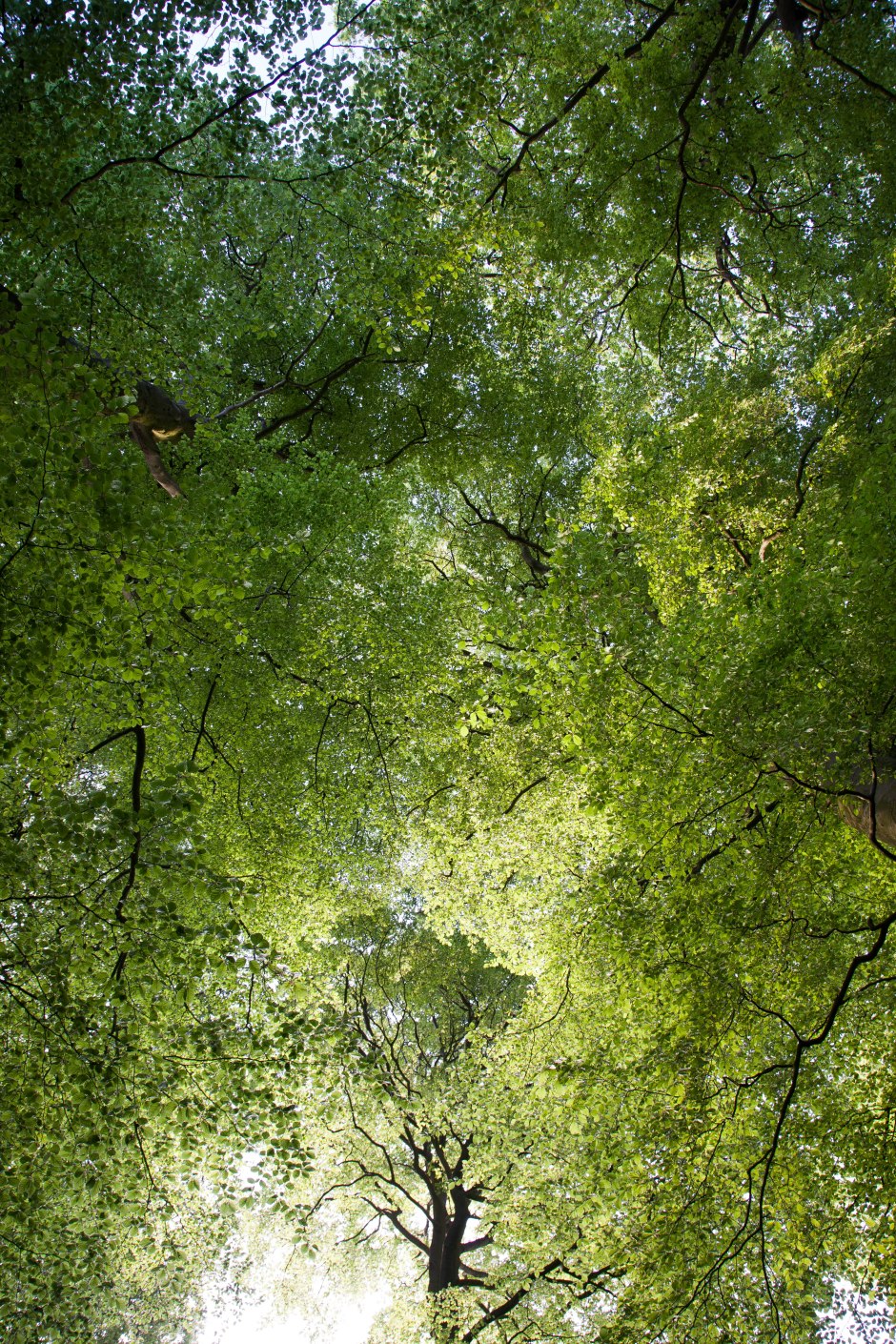 20180513-Barlaston-38